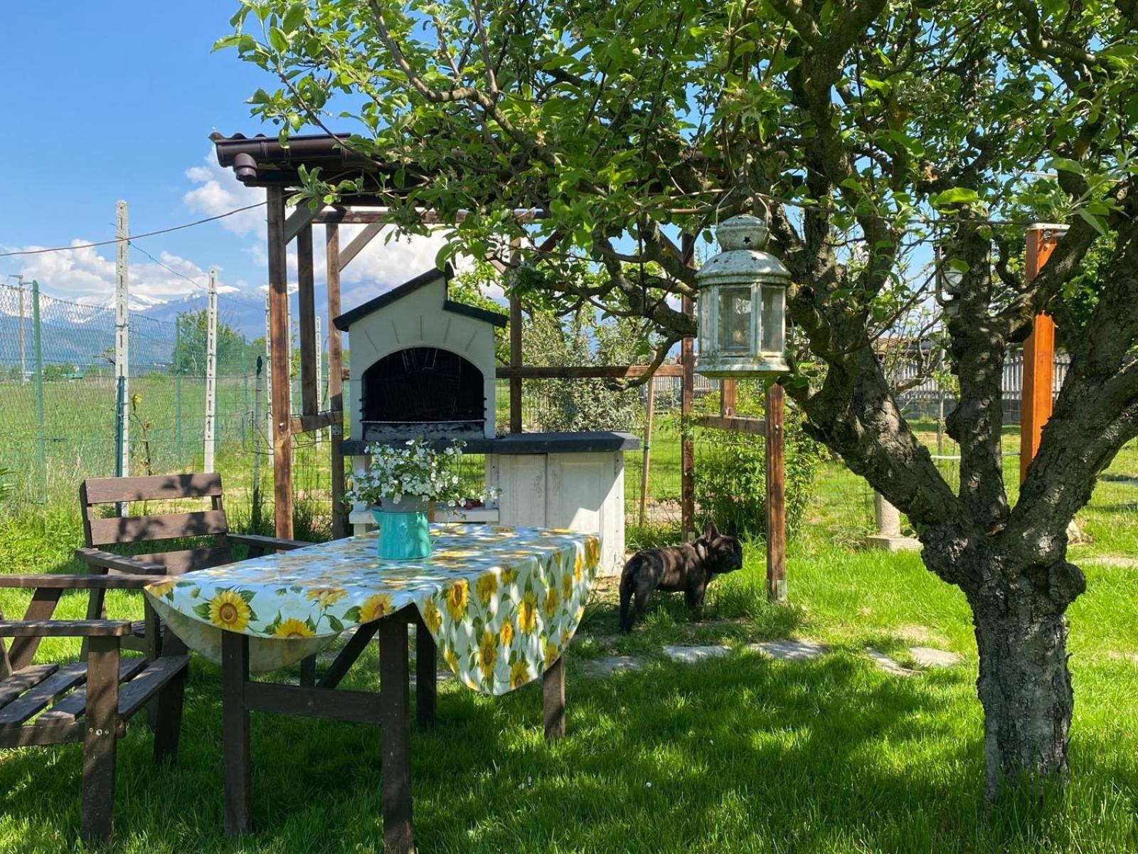 Orto Del Pettirosso Daire Front Dış mekan fotoğraf